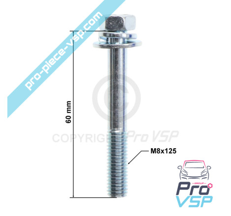 Lower screw of alternator fixing