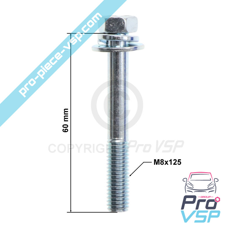 Lower screw of alternator fixing