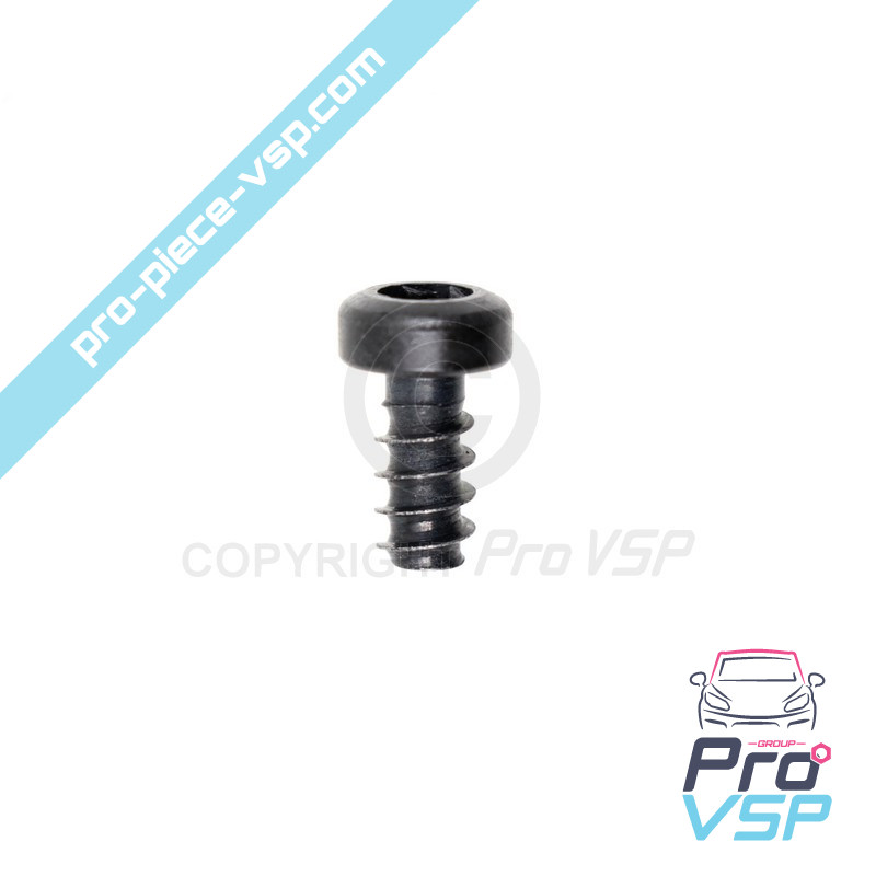 Torx screw