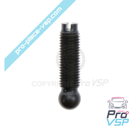 Injector rocker adjustment screw