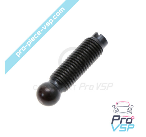 Injector rocker adjustment screw