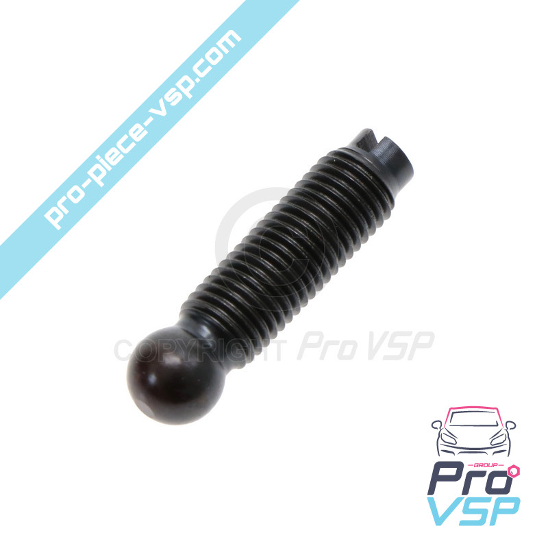 Injector rocker adjustment screw