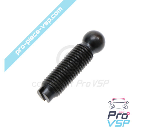 Injector rocker adjustment screw