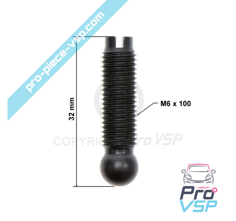 Injector rocker adjustment screw