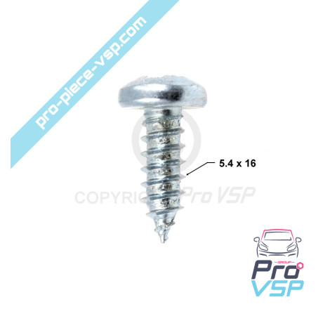 Tornillo de escala