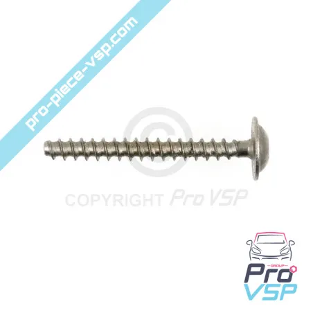 Tornillo de fijación del amortiguador frontal