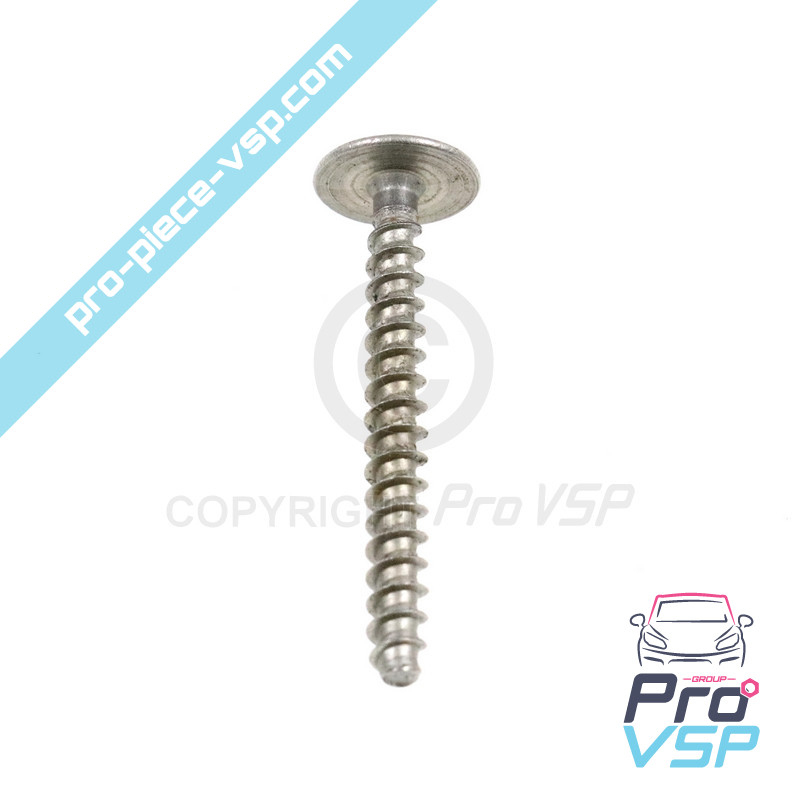 Vis de fixation d'absorbeur de choc avant