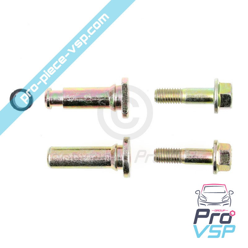 Rear brake caliper kit kit