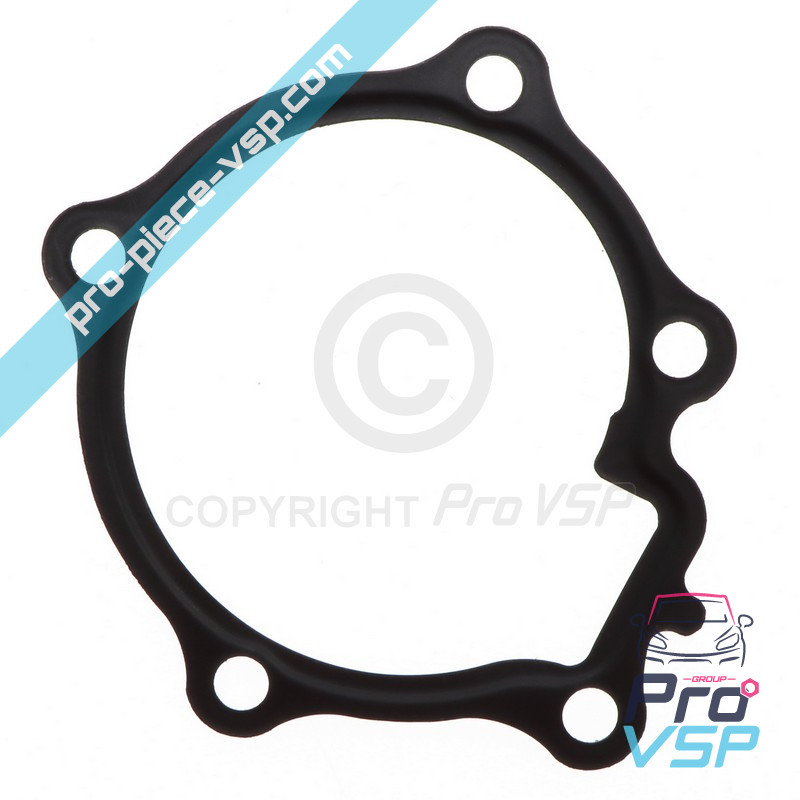 Water pump gasket