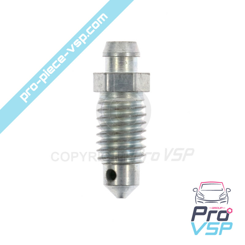 Wheel cylinder purge screw