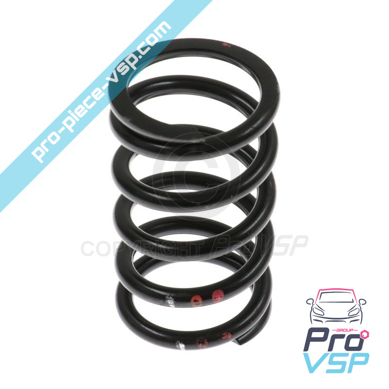 Motor drive spring