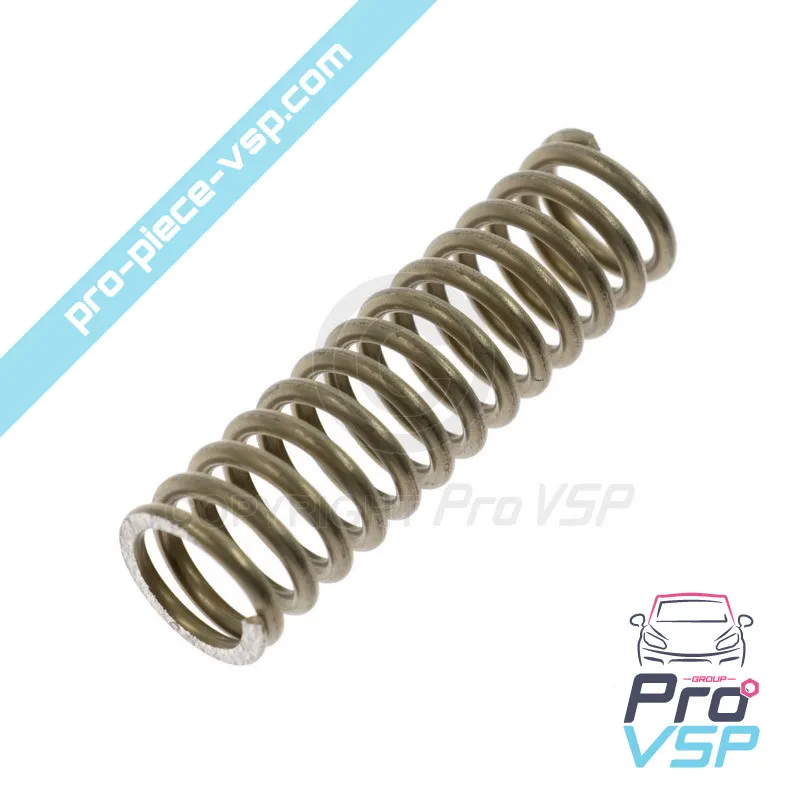 Accelerator Pedal Spring