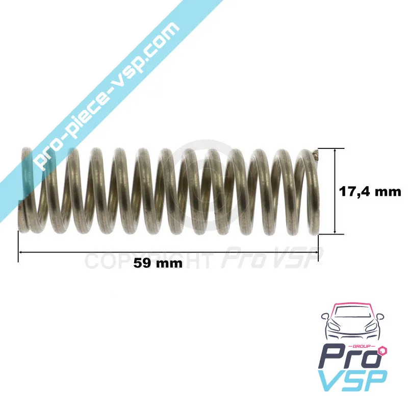 Accelerator Pedal Spring