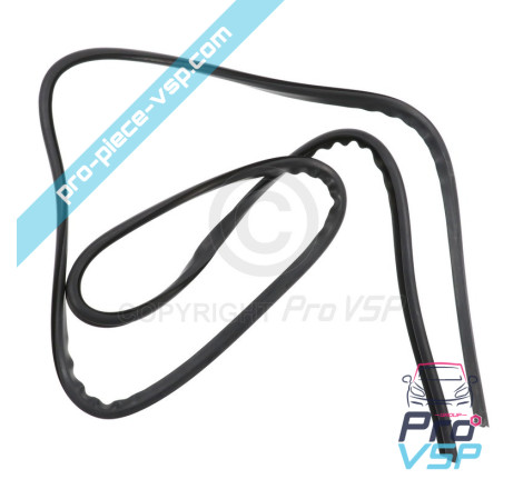 Windshield seal