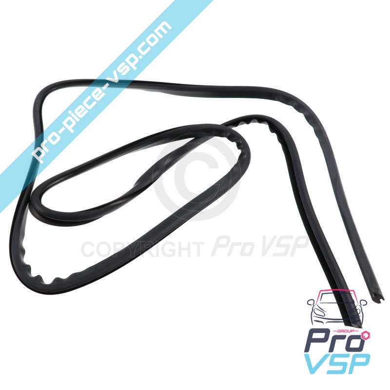 Windshield seal