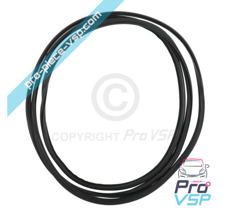 Windshield seal