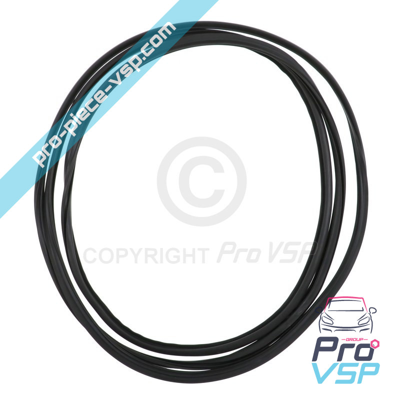 Windshield seal