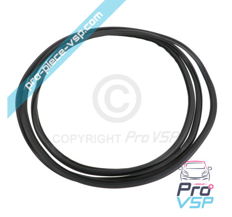 Windshield seal
