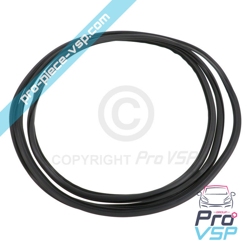 Windshield seal