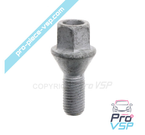 Wheel nut