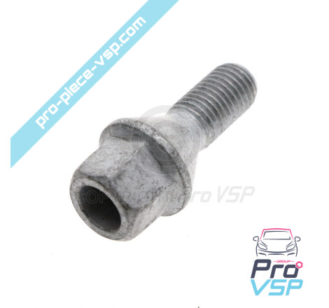 Wheel nut