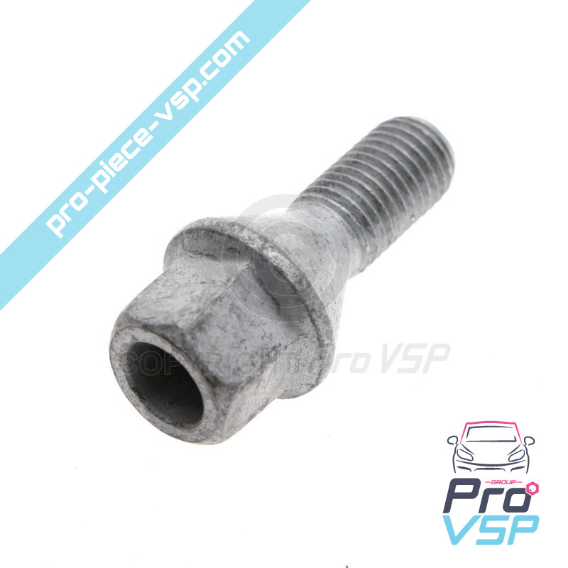 Wheel nut
