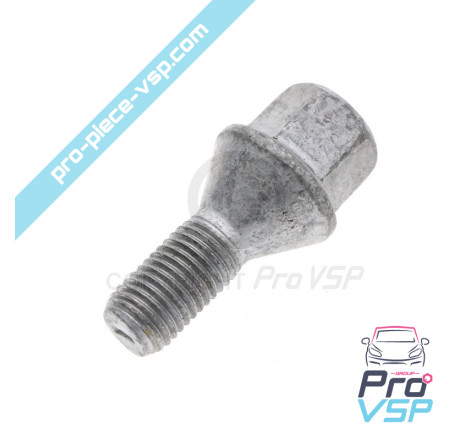Wheel nut