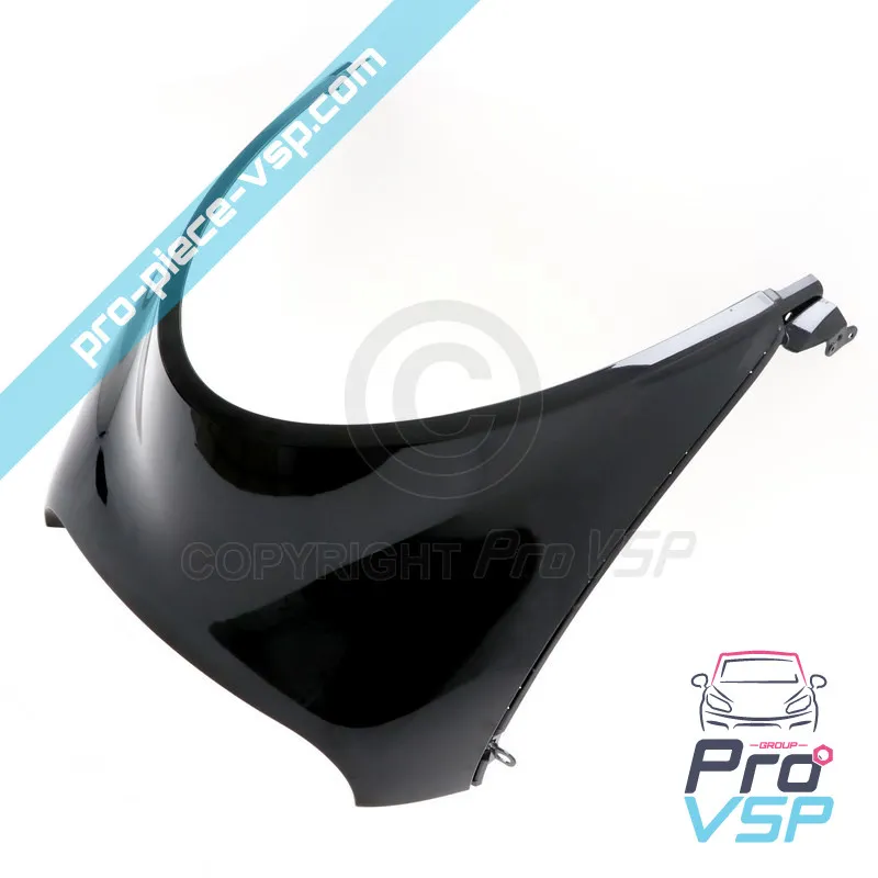 Pabellón (parte trasera) de origen para Renault Twizy