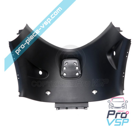 Origem de Garniture da bandeira traseira para Renault Twizy