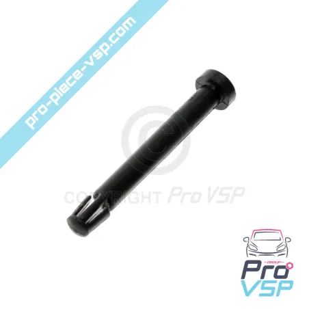 Axe de trappe supérieure de tableau de bord origine pour Renault Twizy