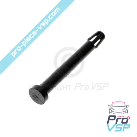 Axe de trappe supérieure de tableau de bord origine pour Renault Twizy