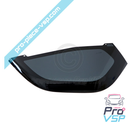 Janela da porta direita (parte inferior) origem para Renault Twizy