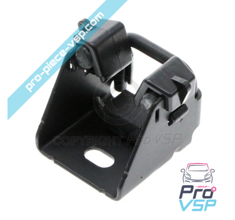 Origem de greve de porta para Renault Twizy