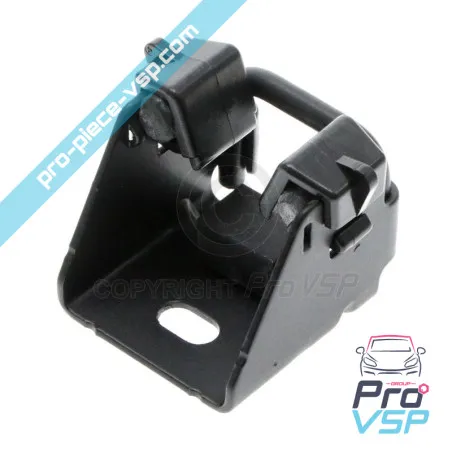 Origem de greve de porta para Renault Twizy