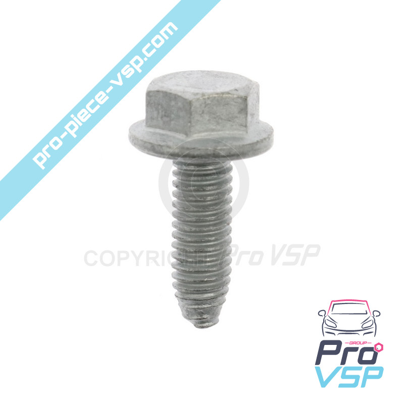 Screw H base m6 x 100