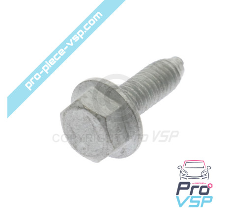 Screw H base m6 x 100
