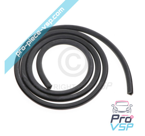 Windshield seal
