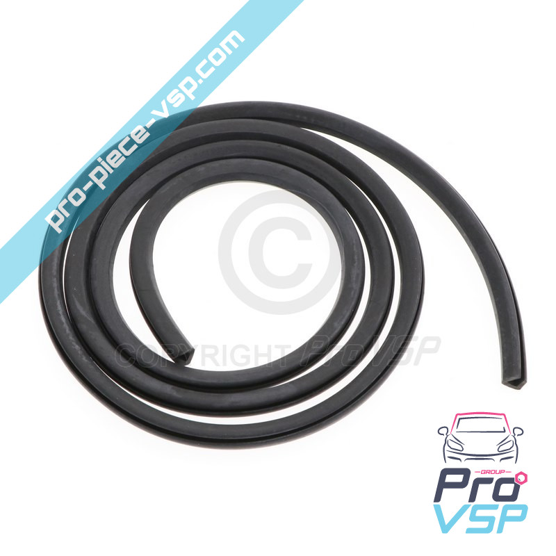 Windshield seal