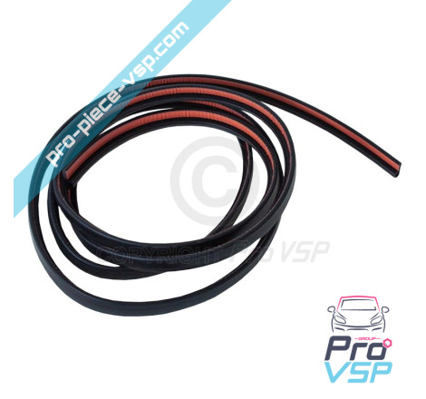 Windshield seal