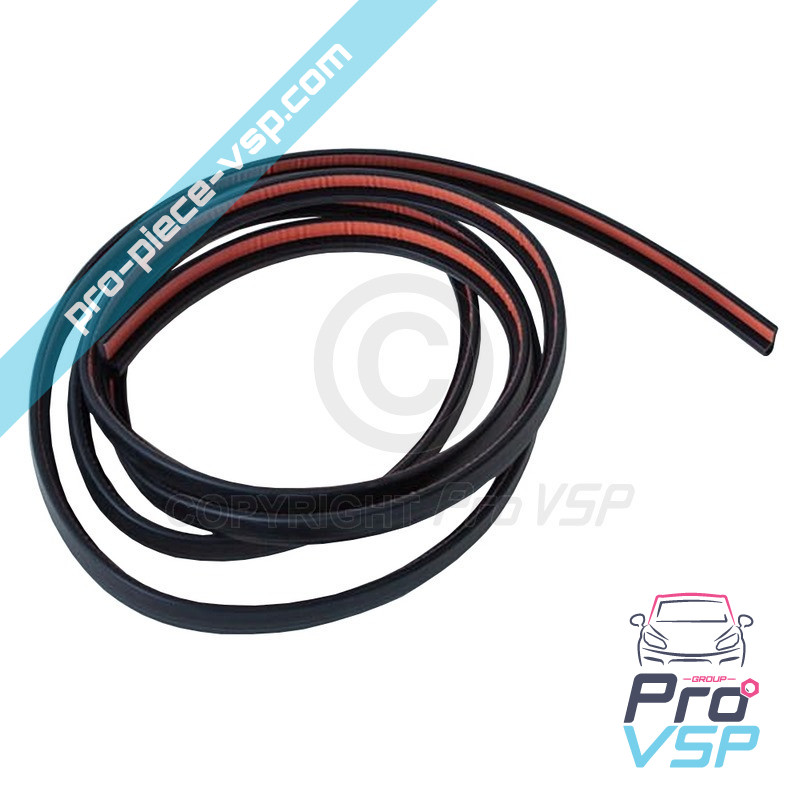 Windshield seal