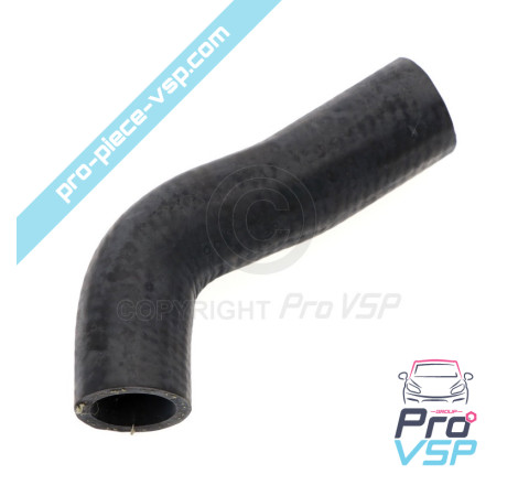 Radiator superior hose