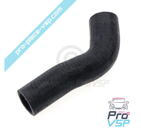 Radiator superior hose