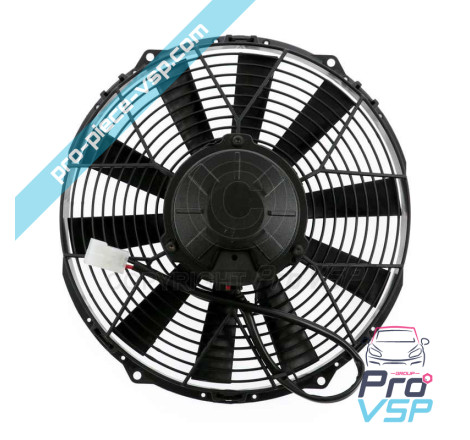 Fan
