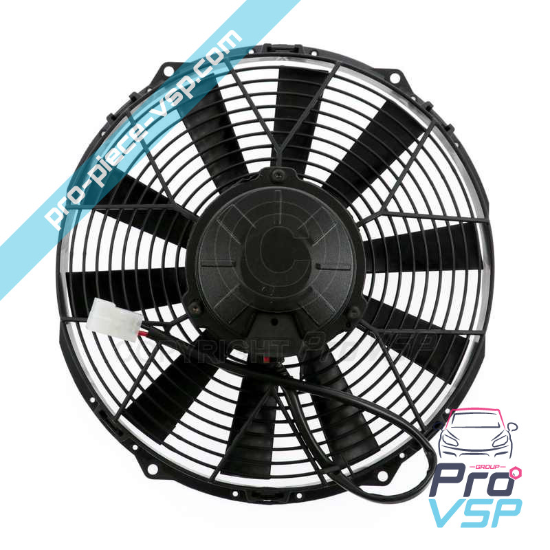 Fan