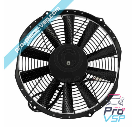 Fan