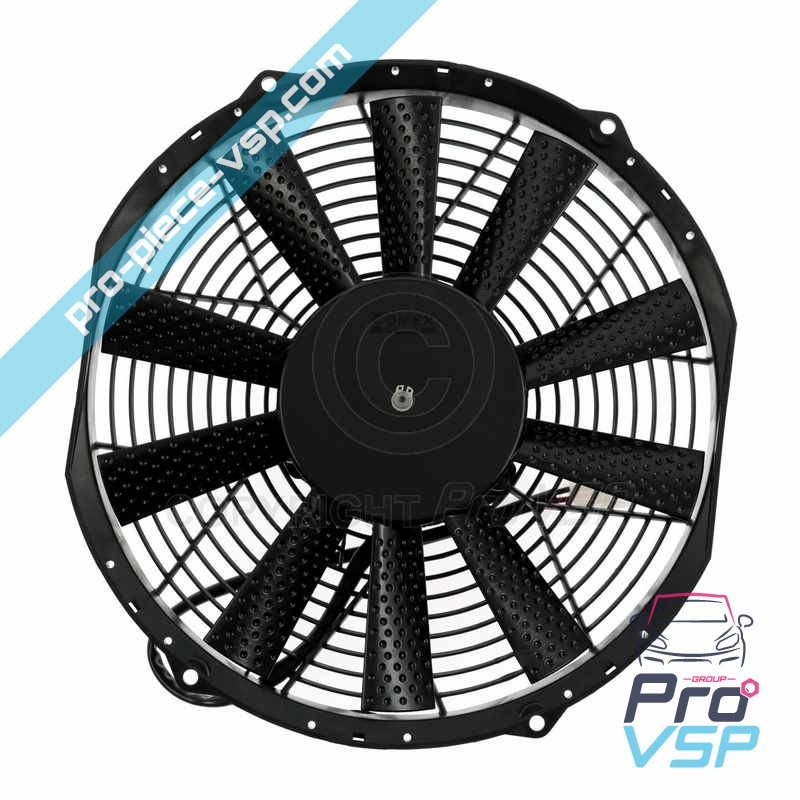 Fan