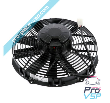 Fan