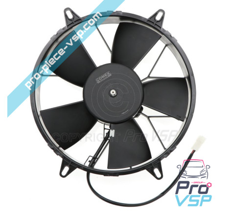Fan