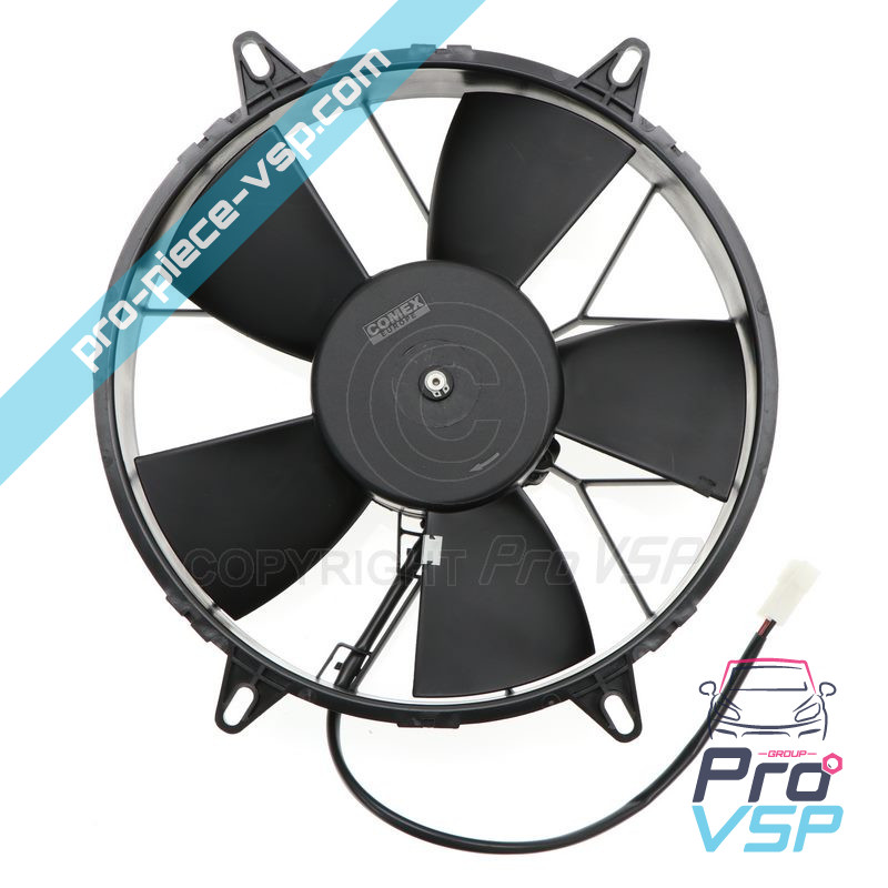 Fan