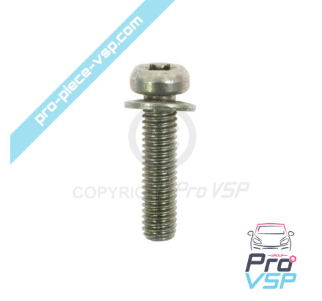 Torx screw